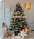 Home for christmas