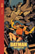Batman & Robin : Année un