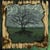 Days Of The New II - The Green Album - édition 180g