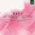 The Aroma of a Pale Rose - Oeuvres pour orgue en do min