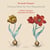 Virtuoso Music for Two Harpsichords