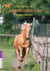 Olympic horse club Tome 4 - l'heure des choix