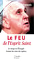 Le feu de l'esprit saint