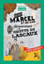 Il était un jour... : quand Marcel et ses amis découvrirent la grotte de Lascaux