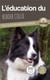 L'éducation du Border Collie : toutes les astuces pour un Border Collie bien éduqué