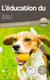 L'éducation du Beagle : toutes les astuces pour un Beagle bien éduqué