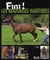 Fini Les Mauvaises Habitudes Du Cheval