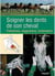 Soigner les dents de son cheval