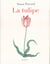 La tulipe