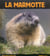 Marmotte (la)