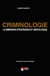 Sécurité globale : criminologie - la dimension stratégique et géopolitique