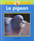 Gros plan sur la nature 34 le pigeon