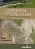 Un oppidum gaulois des alpilles
