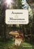 Aventures & mésaventures d'un chercheur de champignons