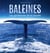 Baleines : les gardiennes de la planète