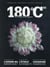 180°C n.5 : la permaculture, l'avenir du maraîchage ?