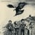 When the eagle flies