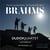 Brahms The String Quartets