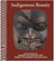 Indigenous beauty masterworks of american indian art from the diker collection