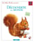 ATELIERS HACHETTE : découverte du monde - CP, CE1 - livre de l'élève