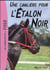 L'Étalon Noir 18 - Une cavalière pour l'Etalon Noir