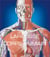 Le grand larousse du corps humains