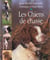 Les chiens de chasse