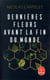 Dernières fleurs avant la fin du monde