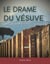 Le drame du vésuve : l'histoire secrète de la destruction de Pompeï