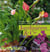 Jardinières et cie