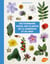 Dictionnaire visuel des plantes de la garrigue