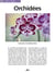 Les orchidées