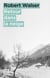 Retour dans la neige