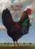 Mes poules parlent