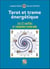 Tarot et trame énergétique : les 22 souffles et l'empreinte universelle
