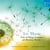 Air music (tales of flying creatures and heavenly breezes)
