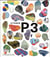 VITAMIN P3 NEW PERSPECTIVES IN PAINTING
