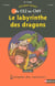 L'ENIGME DES VACANCES PRIMAIRE Tome 8 : le labyrinthe des dragons - du CE2 au CM1