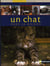 Un chat dans la maison