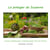 Le potager de suzanne