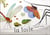 La toile