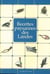 RECETTES PAYSANNES : recettes paysannes des Landes