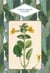 Le petit livre des fleurs