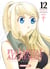 Fullmetal alchemist - perfect edition Tome 12