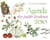 Agenda des petits bonheurs 2010