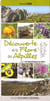Découverte de la flore des alpilles