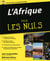 L'Afrique pour les nuls