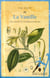 La vanille - à la recherche de l'orchidée au fruit noir