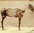 Horse comanche