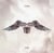 Icarus falls - CD